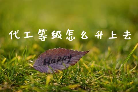 代工等级怎么升上去_https://m.lcpcjs.com_期货交易时间_第1张