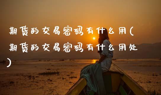 期货的交易密码有什么用(期货的交易密码有什么用处)_https://m.lcpcjs.com_期货交易时间_第1张
