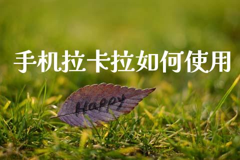手机拉卡拉如何使用_https://m.lcpcjs.com_白银期货保证金_第1张