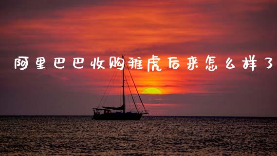阿里巴巴收购雅虎后来怎么样了_https://m.lcpcjs.com_期货交易时间_第1张
