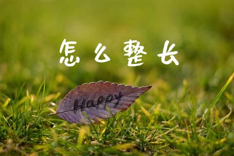 怎么整长_https://m.lcpcjs.com_期货交易_第1张