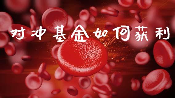 对冲基金如何获利_https://m.lcpcjs.com_白银期货保证金_第1张
