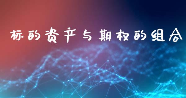标的资产与期权的组合_https://m.lcpcjs.com_期货交易时间_第1张