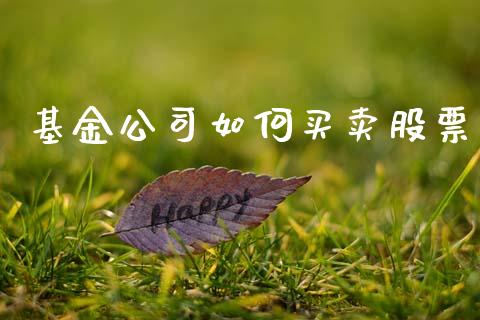 基金公司如何买卖股票_https://m.lcpcjs.com_期货交易时间_第1张