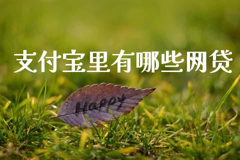支付宝里有哪些网贷_https://m.lcpcjs.com_期货交易_第1张