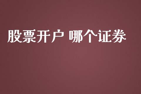 股票开户 哪个证券_https://m.lcpcjs.com_期货交易_第1张