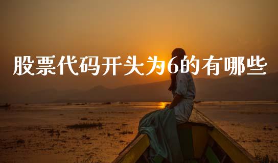 股票代码开头为6的有哪些_https://m.lcpcjs.com_白银期货保证金_第1张