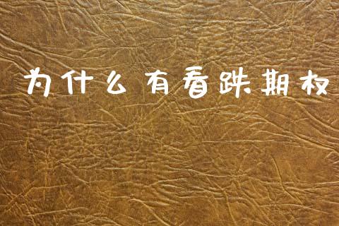 为什么有看跌期权_https://m.lcpcjs.com_期货交易_第1张