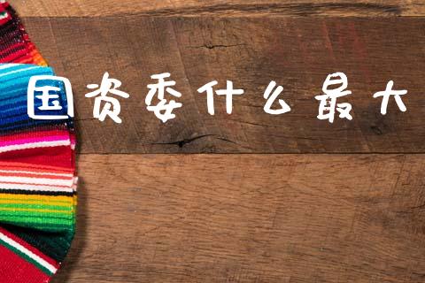 国资委什么最大_https://m.lcpcjs.com_期货交易_第1张