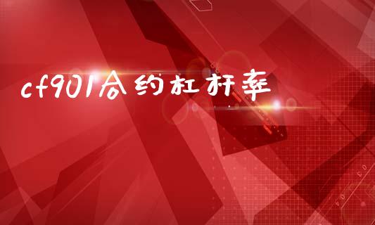 cf901合约杠杆率_https://m.lcpcjs.com_恒指期货保证金_第1张