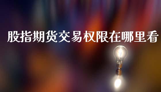 股指期货交易权限在哪里看_https://m.lcpcjs.com_期货交易_第1张