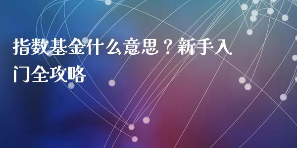指数基金什么意思？新手入门全攻略_https://m.lcpcjs.com_恒指期货保证金_第1张