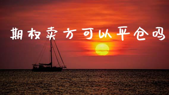 期权卖方可以平仓吗_https://m.lcpcjs.com_期货交易时间_第1张
