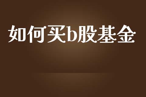 如何买b股基金_https://m.lcpcjs.com_恒指期货保证金_第1张