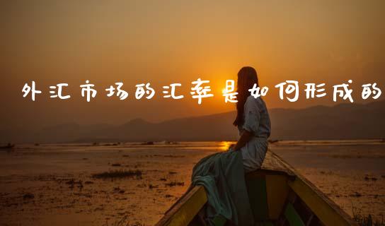 外汇市场的汇率是如何形成的_https://m.lcpcjs.com_恒指期货保证金_第1张