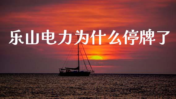 乐山电力为什么停牌了_https://m.lcpcjs.com_白银期货保证金_第1张