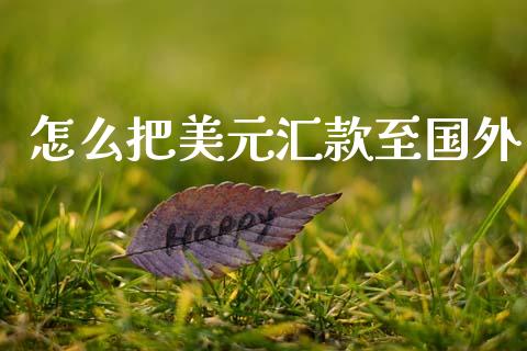 怎么把美元汇款至国外_https://m.lcpcjs.com_白银期货保证金_第1张