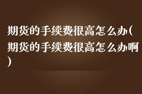 期货的手续费很高怎么办(期货的手续费很高怎么办啊)_https://m.lcpcjs.com_期货交易时间_第1张