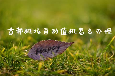 首都机场自动值机怎么办理_https://m.lcpcjs.com_白银期货保证金_第1张