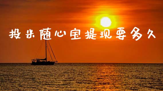 投米随心宝提现要多久_https://m.lcpcjs.com_白银期货保证金_第1张