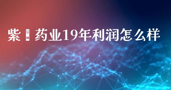 紫鑫药业19年利润怎么样_https://m.lcpcjs.com_白银期货保证金_第1张