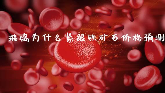 玻璃为什么紧跟铁矿石价格预测_https://m.lcpcjs.com_期货交易时间_第1张