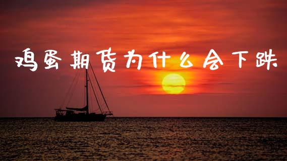 鸡蛋期货为什么会下跌_https://m.lcpcjs.com_期货交易_第1张
