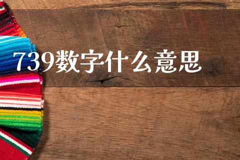 739数字什么意思_https://m.lcpcjs.com_期货交易_第1张