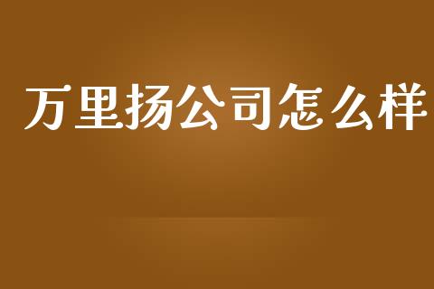 万里扬公司怎么样_https://m.lcpcjs.com_期货交易时间_第1张