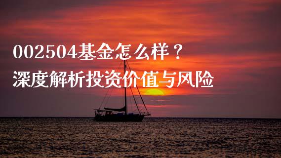002504基金怎么样？深度解析投资价值与风险_https://m.lcpcjs.com_白银期货保证金_第1张