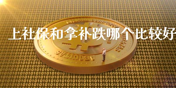 上社保和拿补跌哪个比较好_https://m.lcpcjs.com_恒指期货保证金_第1张