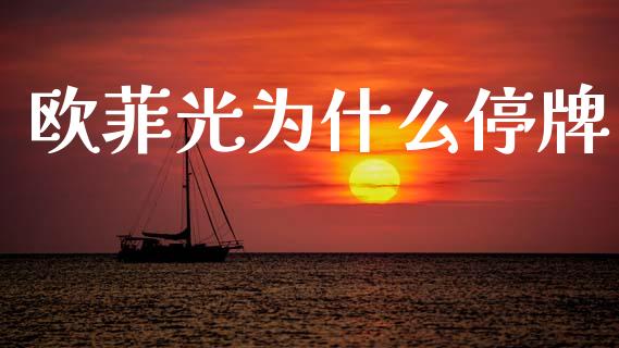 欧菲光为什么停牌_https://m.lcpcjs.com_期货交易时间_第1张