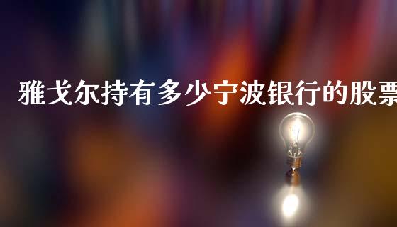 雅戈尔持有多少宁波银行的股票_https://m.lcpcjs.com_恒指期货保证金_第1张