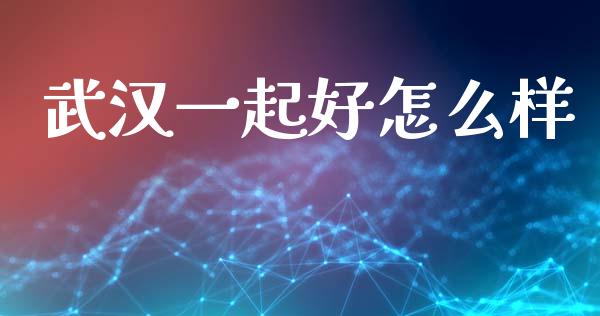 武汉一起好怎么样_https://m.lcpcjs.com_期货交易_第1张