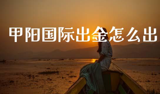 甲阳国际出金怎么出_https://m.lcpcjs.com_恒指期货保证金_第1张