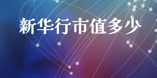 新华行市值多少_https://m.lcpcjs.com_白银期货保证金_第1张