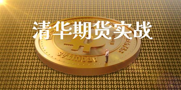 清华期货实战_https://m.lcpcjs.com_恒指期货保证金_第1张