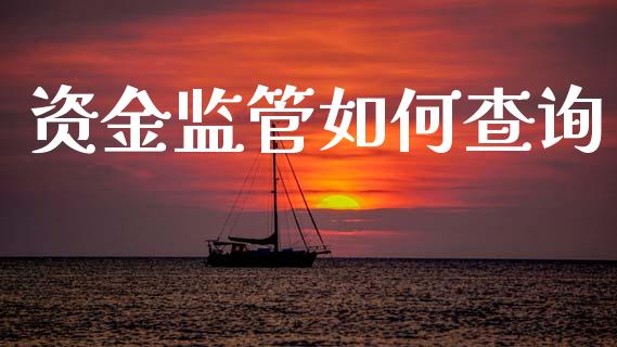 资金监管如何查询_https://m.lcpcjs.com_白银期货保证金_第1张