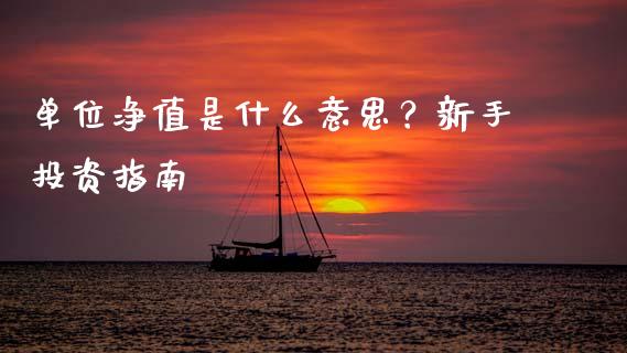 单位净值是什么意思？新手投资指南_https://m.lcpcjs.com_期货交易时间_第1张