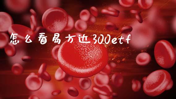 怎么看易方达300etf_https://m.lcpcjs.com_恒指期货保证金_第1张