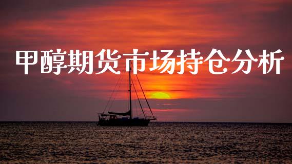 甲醇期货市场持仓分析_https://m.lcpcjs.com_恒指期货保证金_第1张