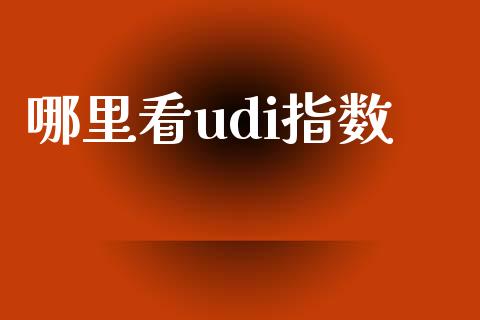 哪里看udi指数_https://m.lcpcjs.com_恒指期货保证金_第1张