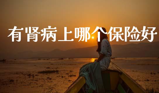 有肾病上哪个保险好_恒指期货保证金_第1张_白银期货保证金_期货交易_恒指期货保证金_期货交易时间 有肾病上哪个保险好_https://m.lcpcjs.com_恒指期货保证金_第1张