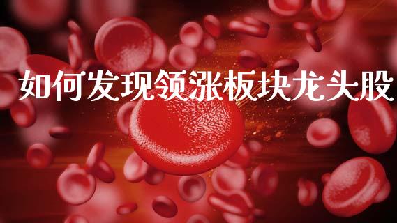如何发现领涨板块龙头股_https://m.lcpcjs.com_恒指期货保证金_第1张