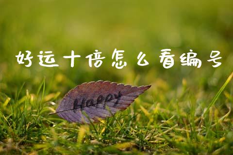 好运十倍怎么看编号_https://m.lcpcjs.com_期货交易_第1张