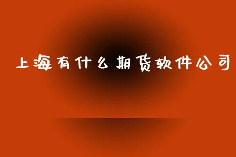 上海有什么期货软件公司_https://m.lcpcjs.com_恒指期货保证金_第1张