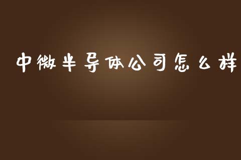 中微半导体公司怎么样_https://m.lcpcjs.com_期货交易_第1张