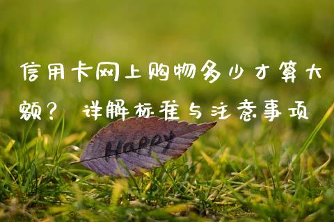 信用卡网上购物多少才算大额？ 详解标准与注意事项_https://m.lcpcjs.com_期货交易时间_第1张