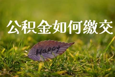 公积金如何缴交_https://m.lcpcjs.com_白银期货保证金_第1张