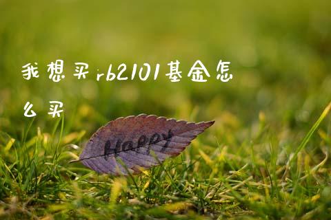 我想买rb2101基金怎么买_https://m.lcpcjs.com_期货交易_第1张